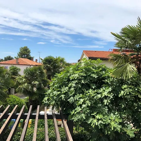 Lycia 2020 * Rovinj